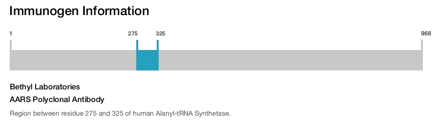 AARS Polyclonal Antibody
