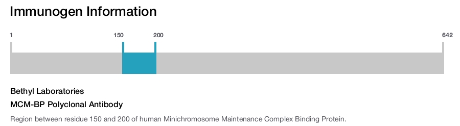 MCM-BP Polyclonal Antibody