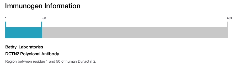 DCTN2 Polyclonal Antibody