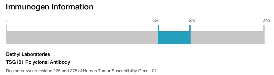 TSG101 Polyclonal Antibody