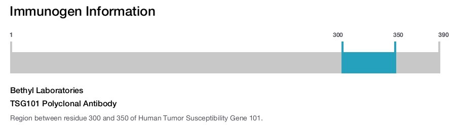 TSG101 Polyclonal Antibody