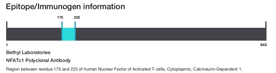 NFATc1 Polyclonal Antibody
