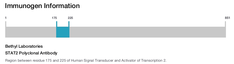 STAT2 Polyclonal Antibody