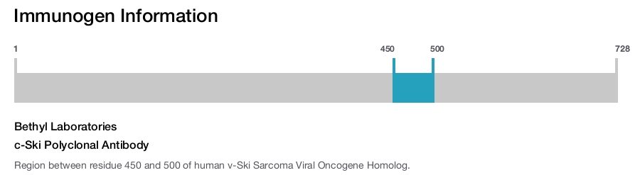 c-Ski Polyclonal Antibody