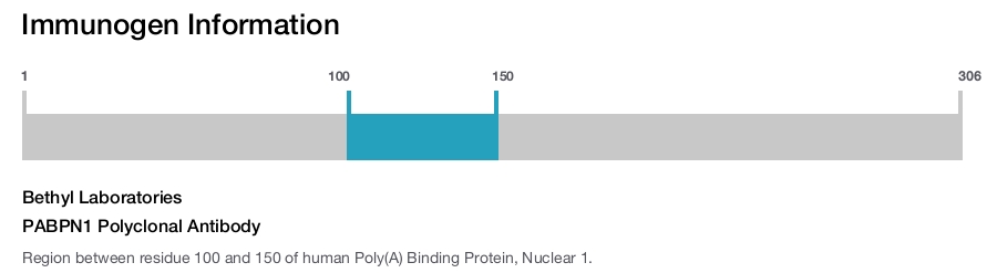 PABPN1 Polyclonal Antibody