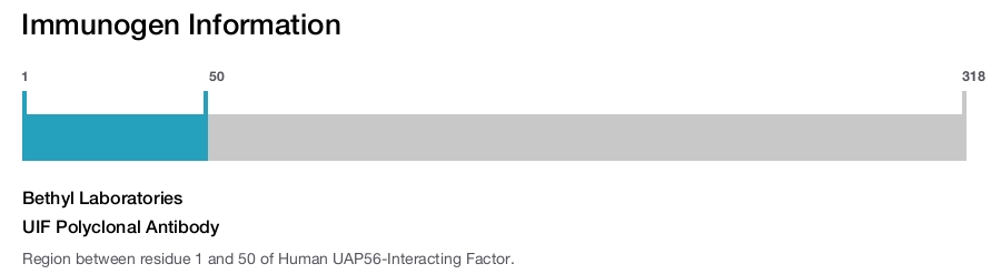 UIF Polyclonal Antibody