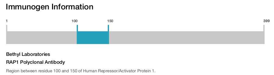 RAP1 Polyclonal Antibody