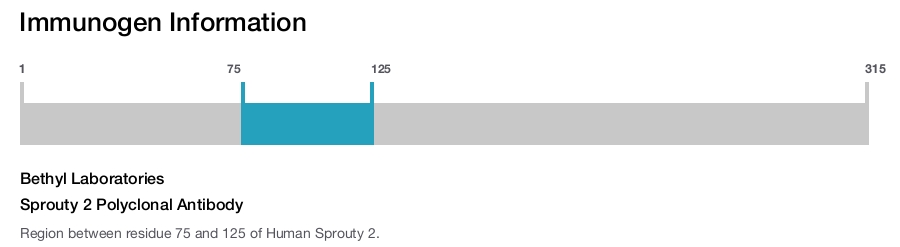 Sprouty 2 Polyclonal Antibody