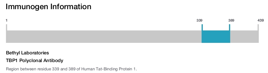 TBP1 Polyclonal Antibody