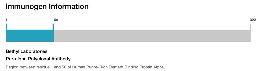 Pur-alpha Polyclonal Antibody