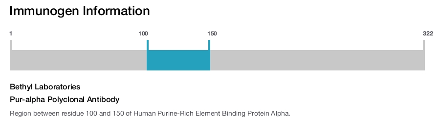 Pur-alpha Polyclonal Antibody