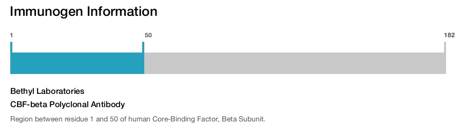 CBF-beta Polyclonal Antibody