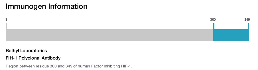 FIH-1 Polyclonal Antibody