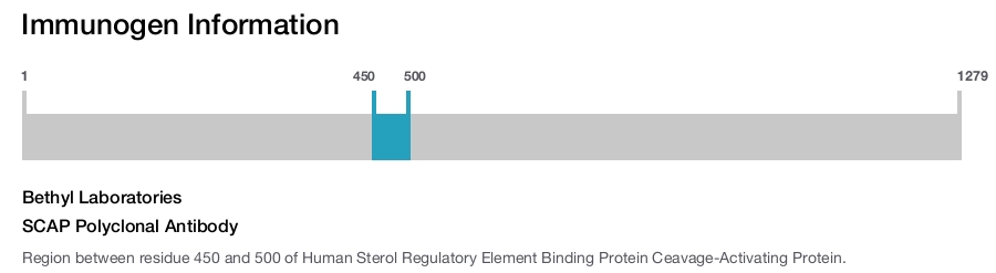 SCAP Polyclonal Antibody