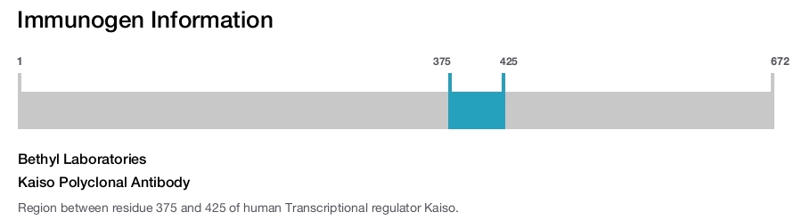 Kaiso Polyclonal Antibody
