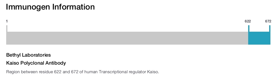 Kaiso Polyclonal Antibody