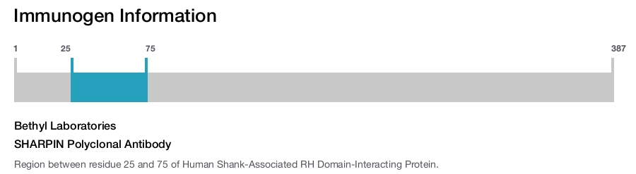 SHARPIN Polyclonal Antibody