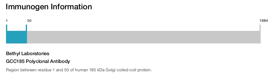 GCC185 Polyclonal Antibody