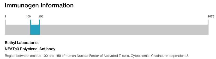NFATc3 Polyclonal Antibody