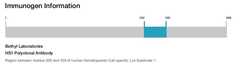 HS1 Polyclonal Antibody