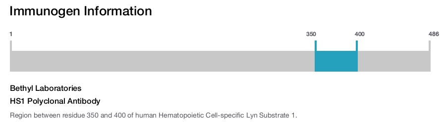 HS1 Polyclonal Antibody