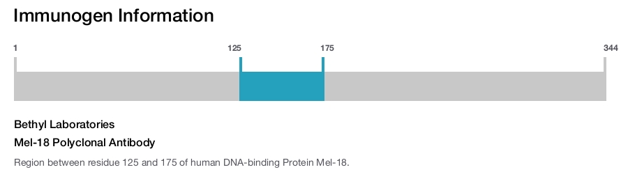 Mel-18 Polyclonal Antibody