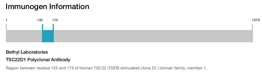 TSC22D1 Polyclonal Antibody