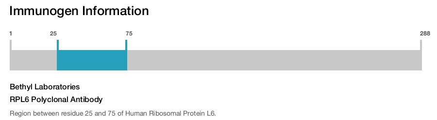 RPL6 Polyclonal Antibody