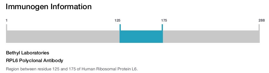 RPL6 Polyclonal Antibody