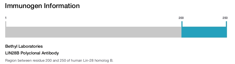 LIN28B Polyclonal Antibody