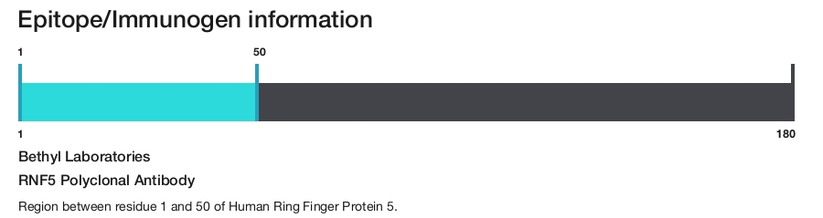 RNF5 Polyclonal Antibody