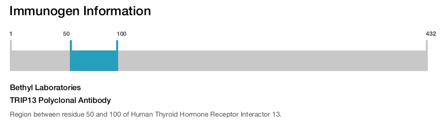 TRIP13 Polyclonal Antibody