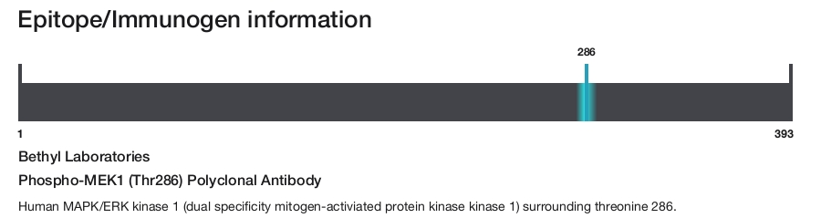 Phospho-MEK1 (Thr286) Polyclonal Antibody