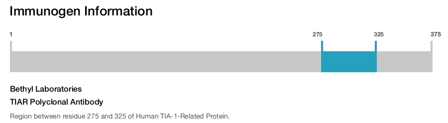 TIAR Polyclonal Antibody