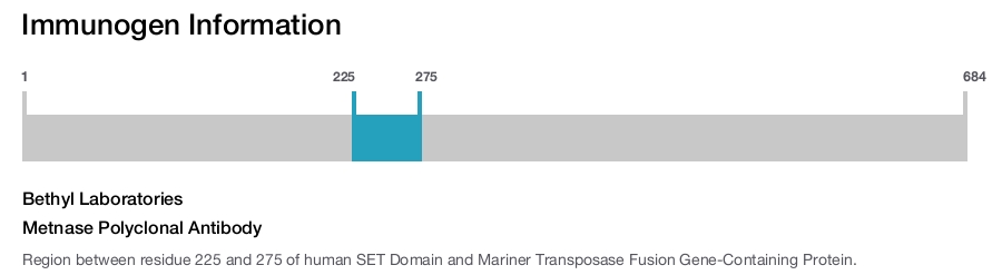 Metnase Polyclonal Antibody