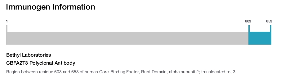 CBFA2T3 Polyclonal Antibody