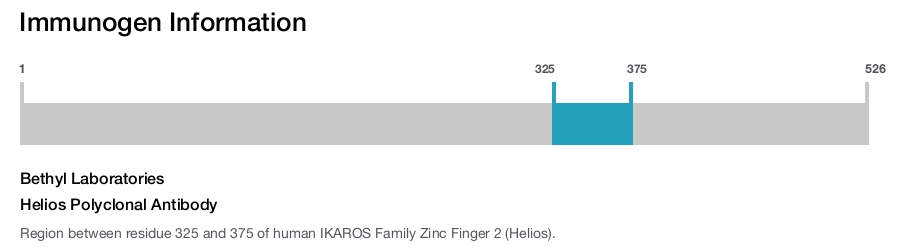 Helios Polyclonal Antibody