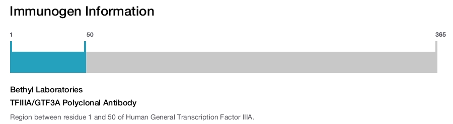 TFIIIA/GTF3A Polyclonal Antibody