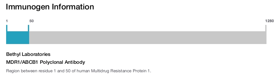 MDR1/ABCB1 Polyclonal Antibody