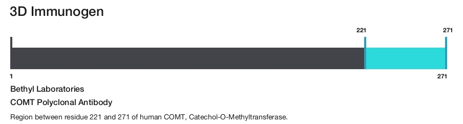 COMT Polyclonal Antibody