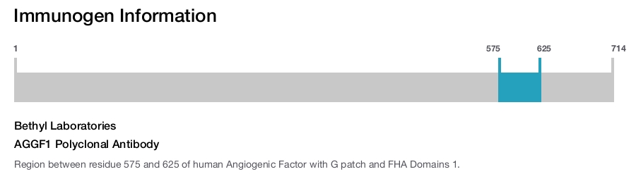 AGGF1 Polyclonal Antibody