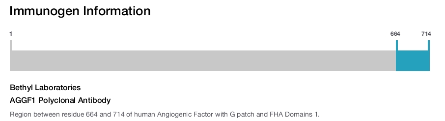 AGGF1 Polyclonal Antibody