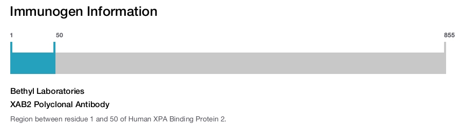 XAB2 Polyclonal Antibody