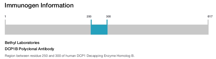 DCP1B Polyclonal Antibody
