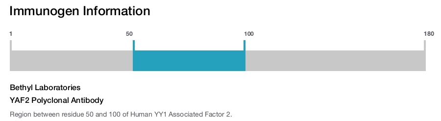 YAF2 Polyclonal Antibody