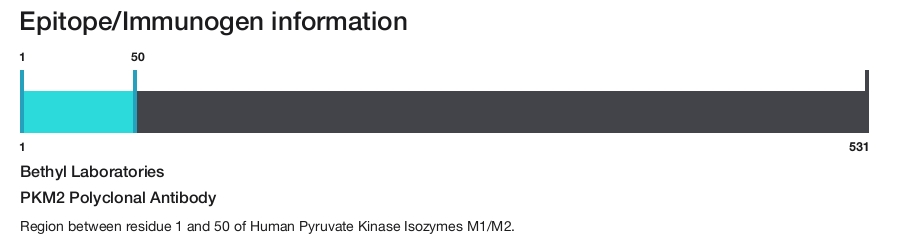 PKM2 Polyclonal Antibody