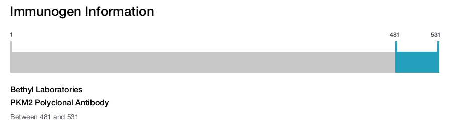 PKM2 Polyclonal Antibody