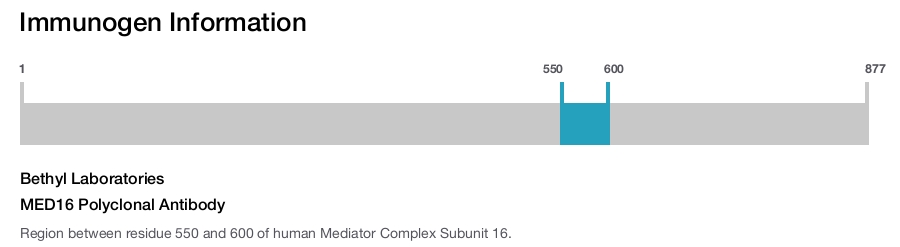 MED16 Polyclonal Antibody