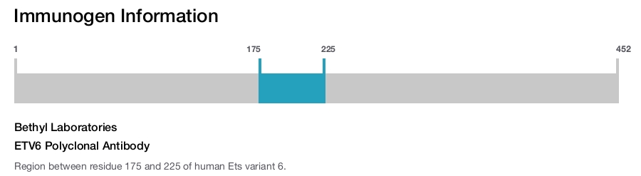 ETV6 Polyclonal Antibody