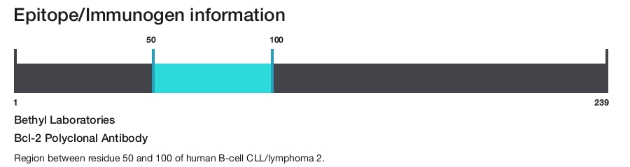 Bcl-2 Polyclonal Antibody